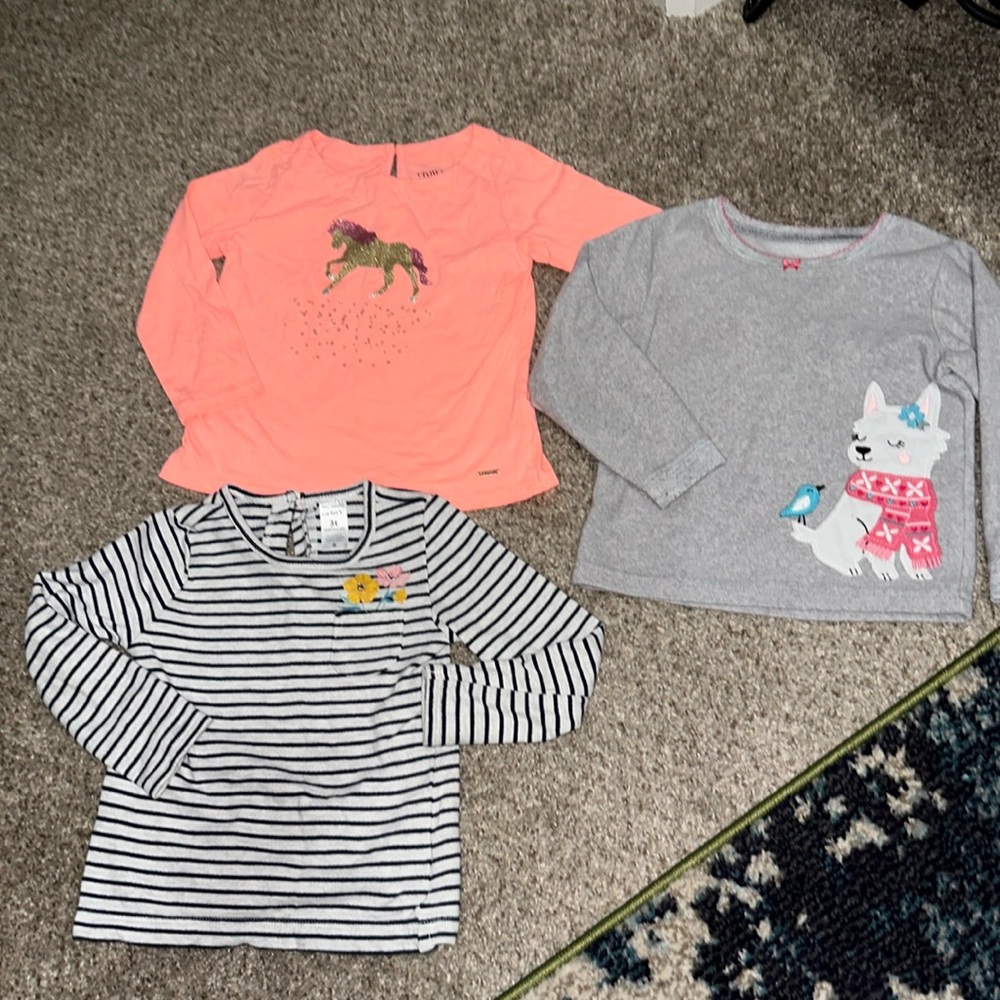 (3) Carter’s Crown & Ivy Long Sleeved Tops 3T
